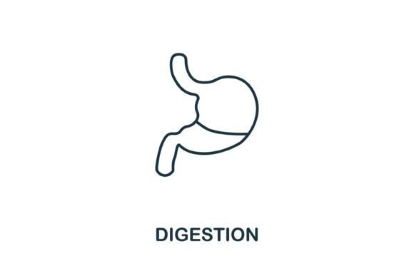 Digestion Icon Review